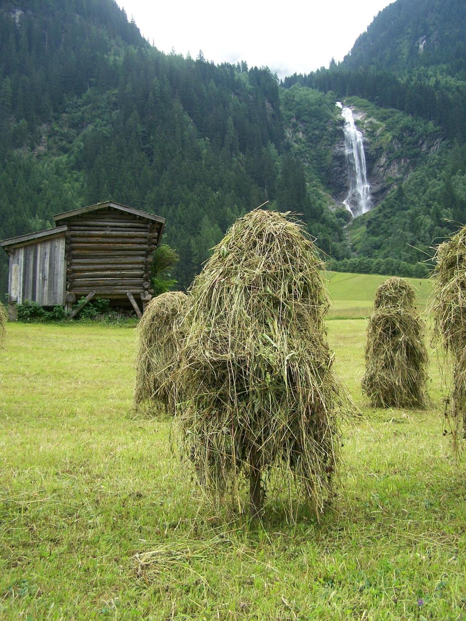 Apart-Pension Wasserfall Neustift im Stubaital Eksteriør billede