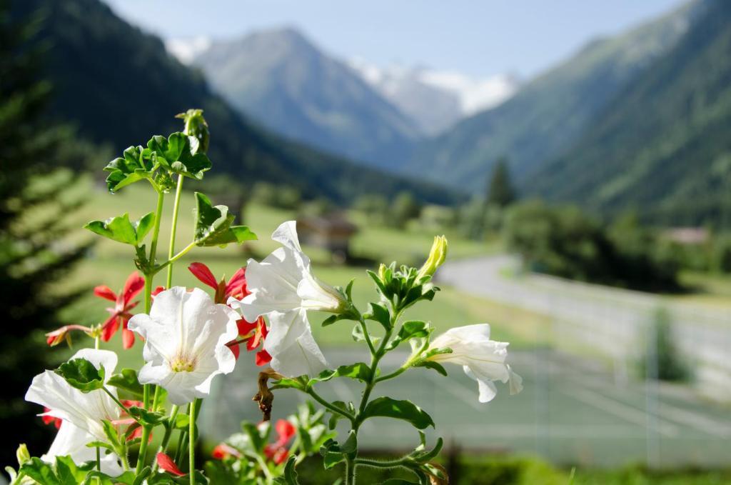 Apart-Pension Wasserfall Neustift im Stubaital Eksteriør billede